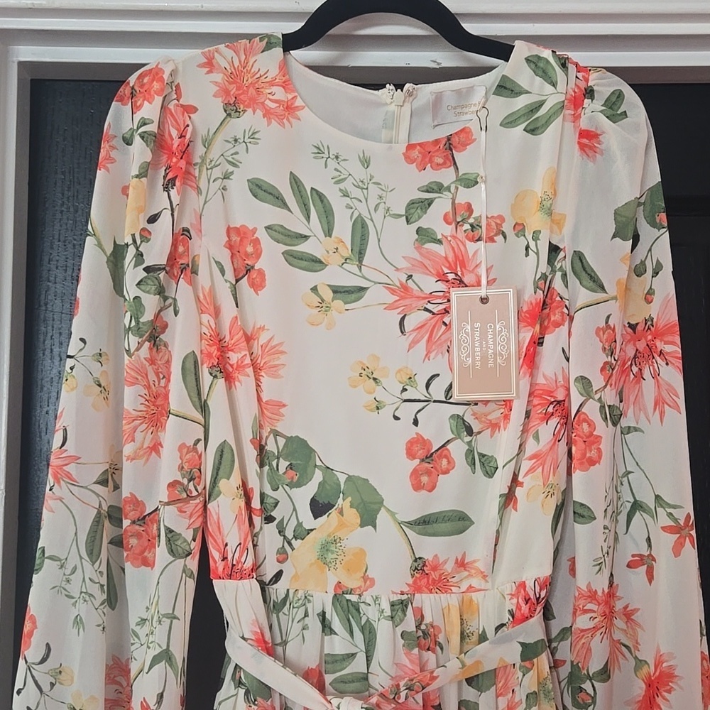 Yumi Kim Champagne & Strawberry Floral Blouson Sleeve Maxi Dress Size Medium - Picture 2 of 15
